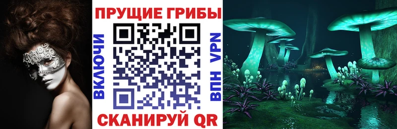 Галлюциногенные грибы Psilocybe  Уяр 